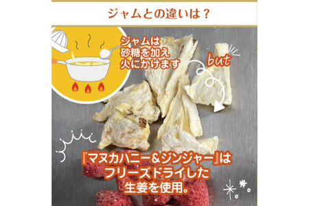 マヌカハニー＆沖縄県産ジンジャー 50g×2個｜はちみつ ハチミツ 蜂蜜 マヌカハニー ジンジャー 生姜 ビタミン お土産 ギフト プレゼント お祝い 人気 沖縄 沖縄県 豊見城市(DK006)