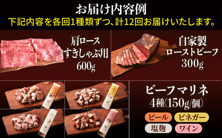 【牧場直送】【12回定期便】佐賀県産 しろいし牛 1頭まるごと 定期便【有限会社佐賀セントラル牧場】[IAH225]