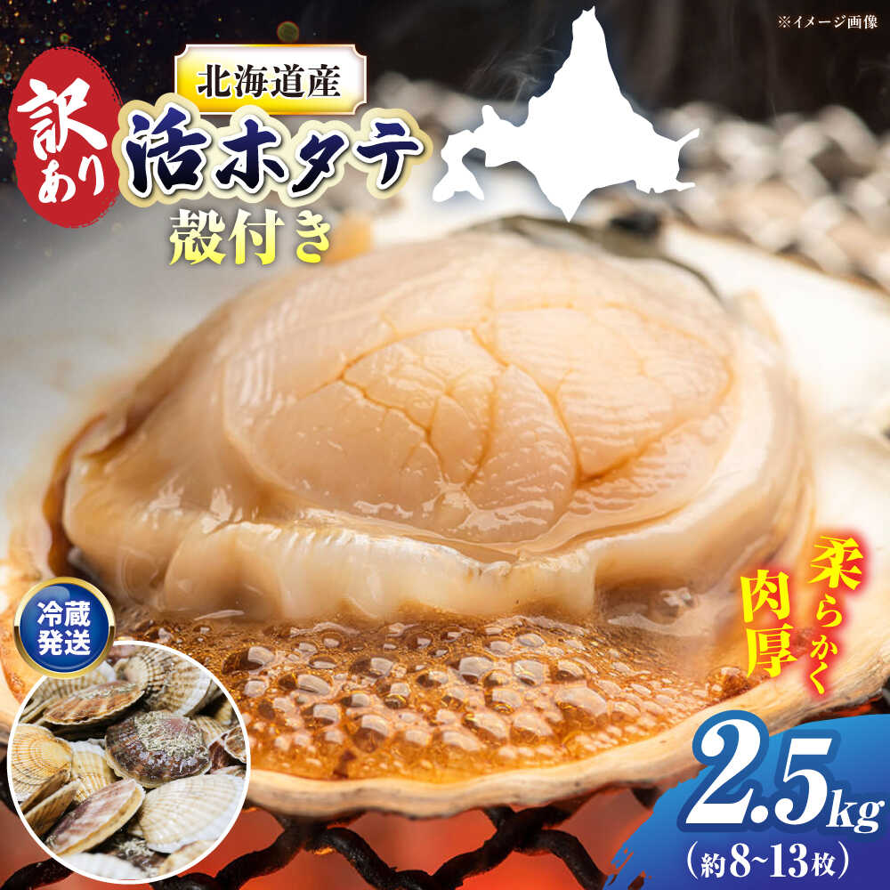 【ふるさと納税】＜期間限定受付＞漁港直送！訳あり 天然貝殻付き活ホタテ2.5kg《厚真町》 【鵡川漁業協同組合】 ほたて ホタテ 活ホタテ 帆立 hotate 貝 海鮮 冷蔵配送 北海道 [AXAL007]