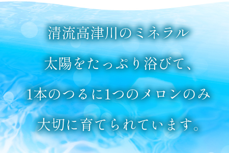 B-1009 ［夏作］糖度厳選プレミアムアールスメロン2玉