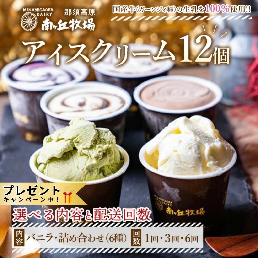 【ふるさと納税】【選べる内容と配送回数】南ヶ丘牧場 アイスクリーム 12個セット ｜ スイーツ アイス 高級アイス 詰め合わせ 乳牛 冷凍 那須町