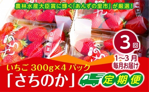 
                  【2027年1～3月発送】【3ヶ月定期便】「さちのか」いちご300g×4Pを3回お届け[H7007]
                