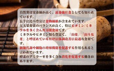 自然薯 約1kg~1.2kg 山芋 とろろ 山芋 とろろ 千葉県銚子市 弥兵衛