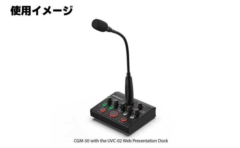 【Roland Pro A/V】グースネック型マイク/CGM-30【配送不可：離
