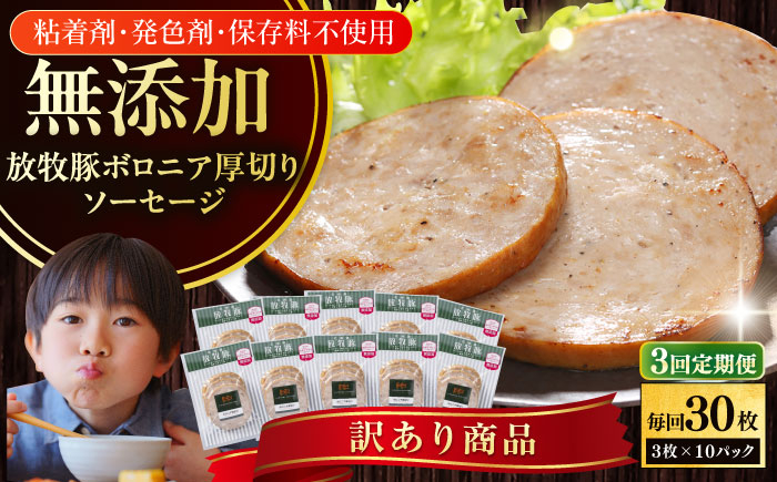 
            【全3回定期便】【訳あり】【結着剤・発色剤・保存料不使用】 放牧豚 ボロニア厚切りスライスソーセージ 3枚x10セット（130g/パック）《厚真町》【ファーマーズファクトリー株式会社】 訳あり ソーセージ ウインナー 冷凍配送 セット 詰合せ 北海道[AXBA079]
          