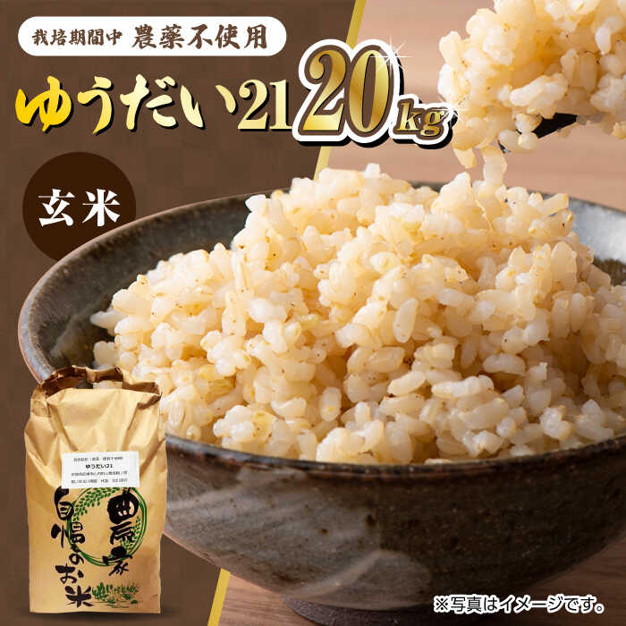 【ふるさと納税】【新米 先行予約】栽培期間中農薬不使用 令和7年産 佐賀県産ゆうだい21 玄米20kg/鶴ノ原北川農園[UDL026]