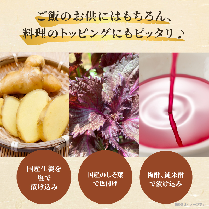 ＼ポスト投函／梅酢生姜100g_T037-010【おかず 漬物 野菜 加工品 国産 人気 ギフト 食品 つけもの おつまみ ご飯 贈り物 送料無料 プレゼント】