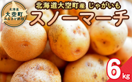 【期間限定】北海道大空町産じゃがいも（スノーマーチ）6kg 【 ふるさと納税 人気 おすすめ ランキング じゃがいも ジャガイモ いも 芋 スノーマーチ  カレー 北海道産 野菜 旬 北海道 大空町 送料無料 】 OSA047