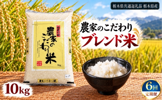 【定期便6回】 ブレンド米 10kg | 米 こめ 白米 精米 お米  栃木米 ブランド米 【栃木県共通返礼品 栃木県産】 栃木県 下野市 しもつけ市