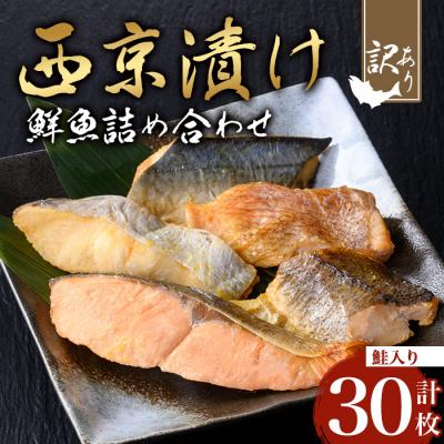 ふるさと納税 曽於市 【訳あり】鮮魚西京漬け<鮭入り>(5種×6枚/約1.8kg)