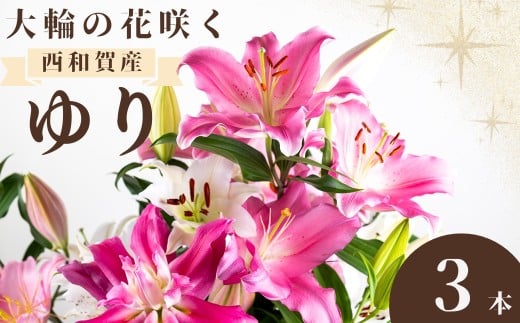 【発送開始】西和賀・高原のユリ 3本