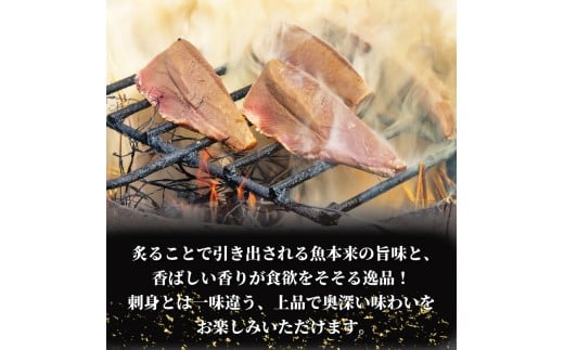 炙り三昧 BOX 2~3種盛り 合計 7~8人前 鯛 タイ イサキ グレ メジナ 刺身 刺し身 炙り 海鮮 魚介 寿司 丼 旬 ご飯に合う コメに合う 米に合う 高級 冷蔵 高知県 須崎市 須崎魚商人
