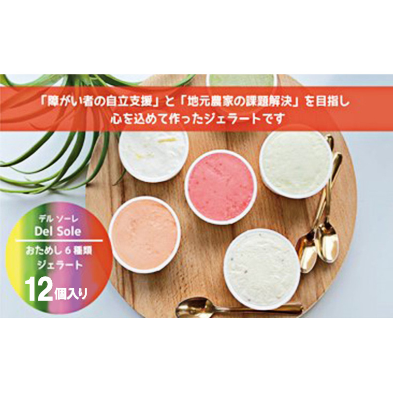 デルソーレ　ジェラート★大人気！旬の6種詰め合せ★（12個入り） セット 袋井市