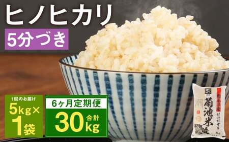 【6ヶ月定期便】熊本県菊池産 ヒノヒカリ 5kg×6回 計30kg 5分づき米 お米 分づき米 