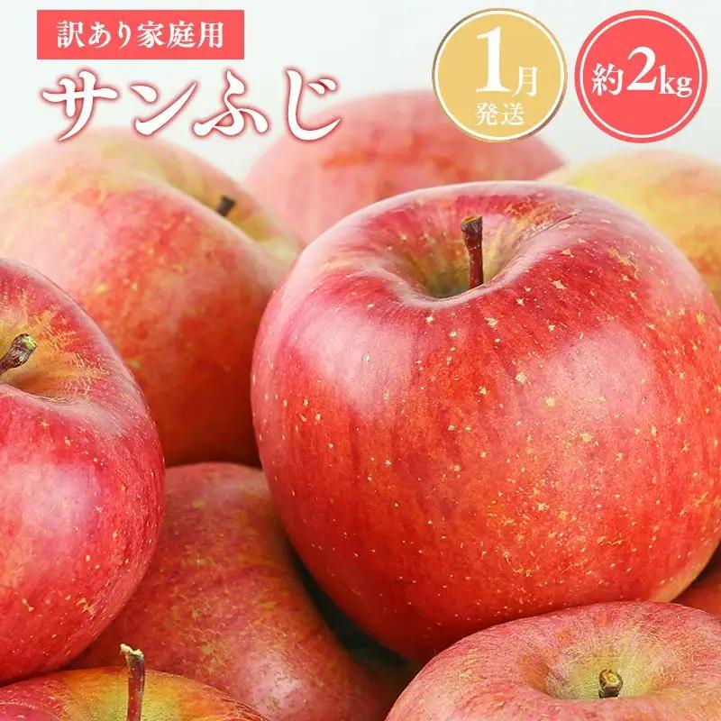 りんご 家庭用 サンふじ約2kg  [hi-0038-014-1]