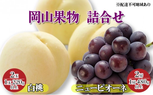 
                  【×】桃 ぶどう 2024年 先行予約 岡山果物 詰合せ 白桃 2玉（1玉 220g以上）／ ニュー ピオーネ 2房（1房 480g以上）化粧箱入り もも 葡萄 岡山県産 国産 フルーツ 果物 ギフト 
                