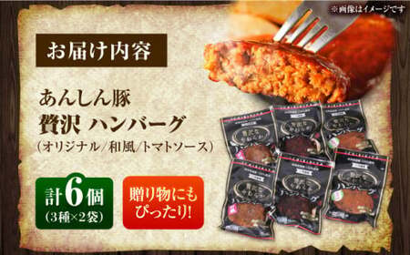 贅沢なやわらかハンバーグ 3種食べ比べ 計6個セット 豚肉 和風 洋風 白川町 / 一力屋[AWAE003]