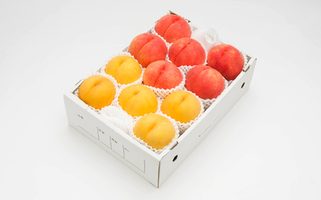 【先行予約】もも 白桃 有袋黄桃 秀品 詰め合わせ 品種おまかせ 3kg フルーツ 化粧箱入 果物 アソート 詰合せ 2026年産 令和8年産 山形県産 桃 黄桃 モモ 送料無料 ※沖縄・離島への配送