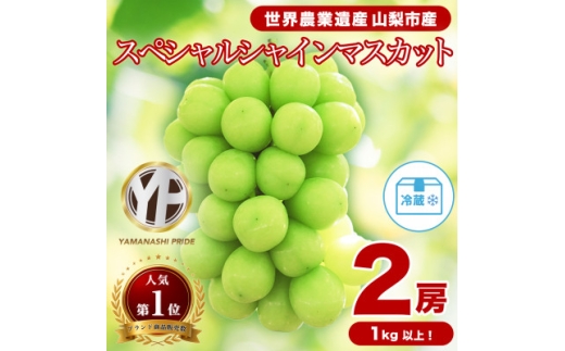 フルーツ王国山梨産厳選 シャインマスカット   2房 (1kg以上)【1108669】