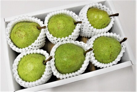 西洋梨（ラ・フランス）３ｋｇ以上×２箱　７Ｌサイズ　0017-2621