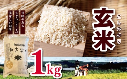 令和7年産 コシヒカリ 玄米 1㎏（1袋） |  やさまる 小分け 少量 米 こめ お米 おこめ げんまい こしひかり 千葉県 君津市 きみつ