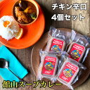 【ふるさと納税】館山スープカレー(チキン)冷凍パック　レギュラー　辛口4人前【配送不可地域：離島】【1412636】