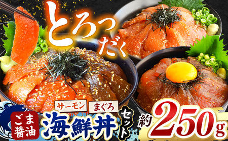 "とろだく” ごま醤油 海鮮丼 まぐろ & サーモン 約 250g | 熊本県 和水町 くまもと なごみ 魚 海鮮 肥後 海鮮丼 スライス 冷凍 漬け さかな 漬け丼 小分け 数量限定 人気 熊本県 熊本