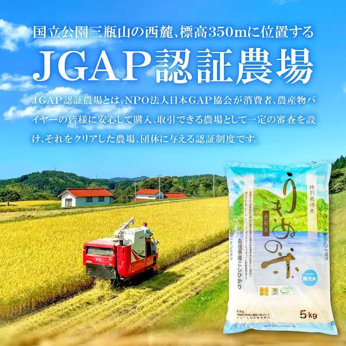さんべ浮布米（無洗米）定期便（5kg×5回コース）【令和7年産 コシヒカリ 無洗米 5kg 5回 定期 2025年産 こしひかり 5kg×5回 合計25kg 5回定期便 特別栽培米 島根県産 大田市産