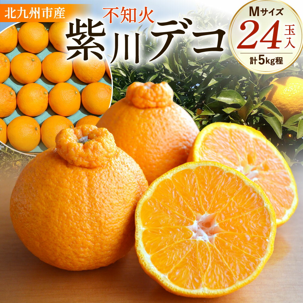 【ふるさと納税】紫川デコ ( 不知火 ) Mサイズ 24玉入 計5kg程 フルーツ みかん 柑橘 しらぬい ミカン 蜜柑 ジューシー 旬 新鮮 季節 福岡県 北九州市 予約【2026年3月上旬～2026年3月下旬発送予定】