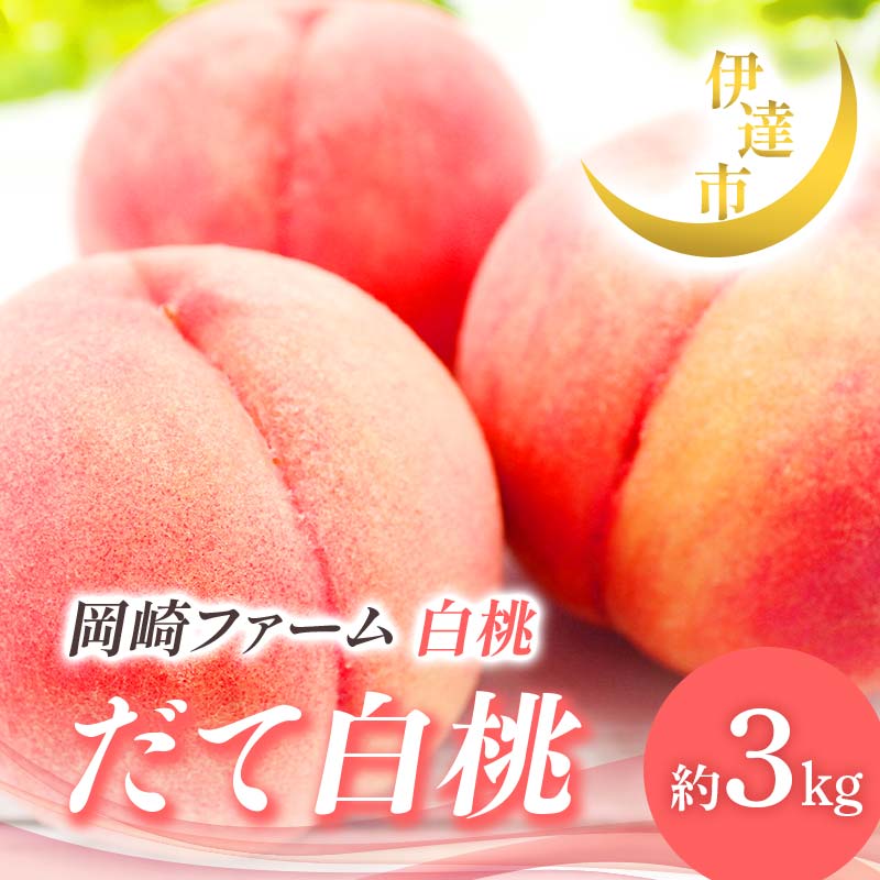 【ふるさと納税】【2026年出荷分先行予約】福島県産 だて白桃 約3kg (6～10玉) 岡崎ファーム 贈り物 贈答 ギフト 伊達の桃 桃 フルーツ 果物 もも モモ momo F21C-007