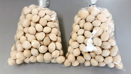 【 先行予約 2024年10月上旬以降発送 】銀杏 ぎんなん 約1kg ( 殻付き ・ L )　500g × 2袋 イチョウ 秋 美味 栄養満点 健康 高血圧予防 むくみ改善 疲労回復 美肌 [AX0