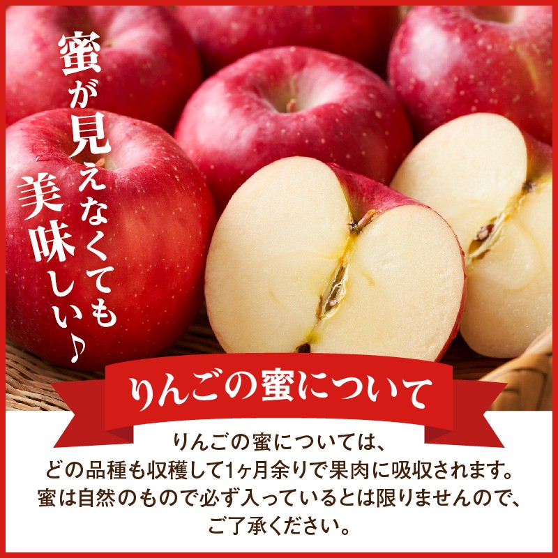※写真はイメージです