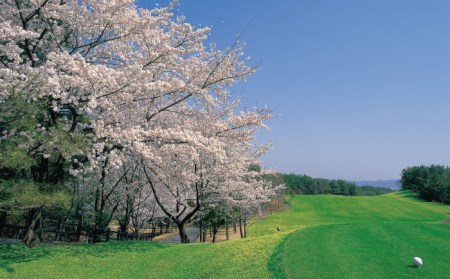 ゴルフ 平日利用券 9,000円分 多治見市/多治見カントリークラブ チケット ゴルフ場 [TCC003]