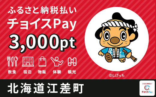 
                  江差町チョイスPay 3,000pt【会員限定のお礼の品】
                