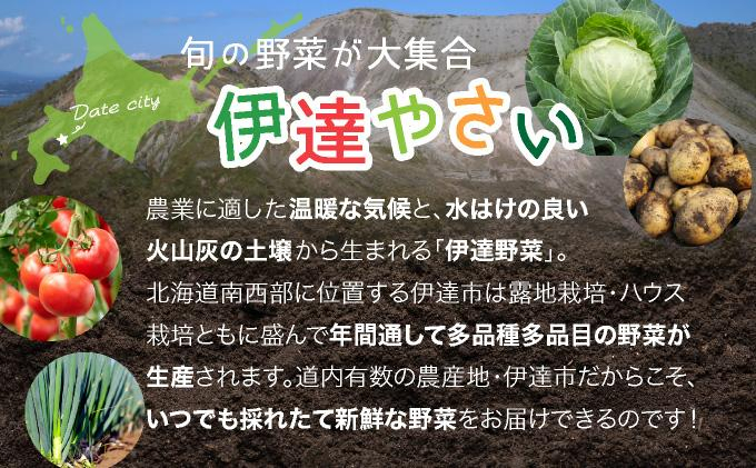 ＜定期便4回＞北海道 伊達市 産直・旬のおまかせ野菜詰合せ 6～8種【dnk-006】 定期便4回