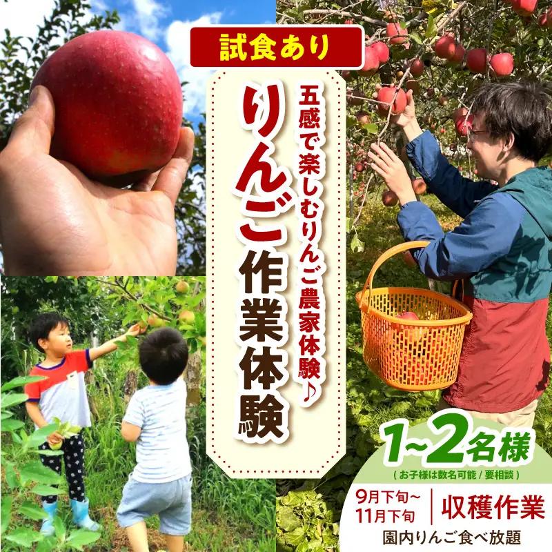 体験型 りんご収穫（9月下旬～11月下旬）大人2人まで青森県五所川原市