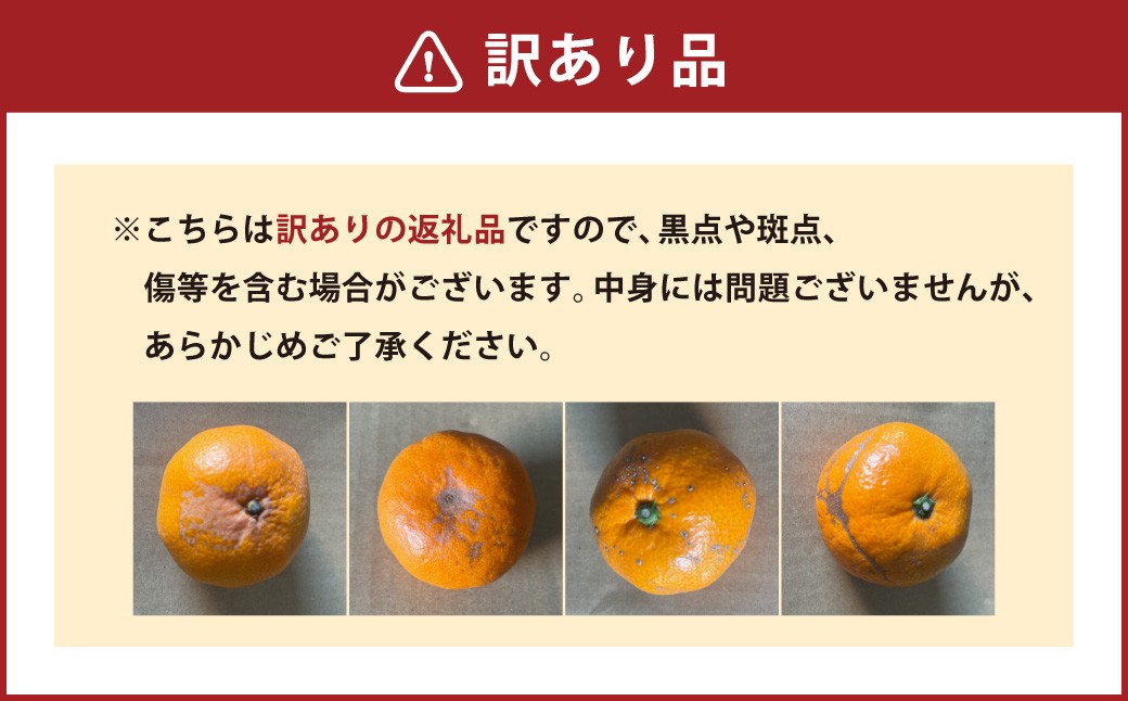 みかん 【規格外品】ご家庭用 約6kg サイズ不選別