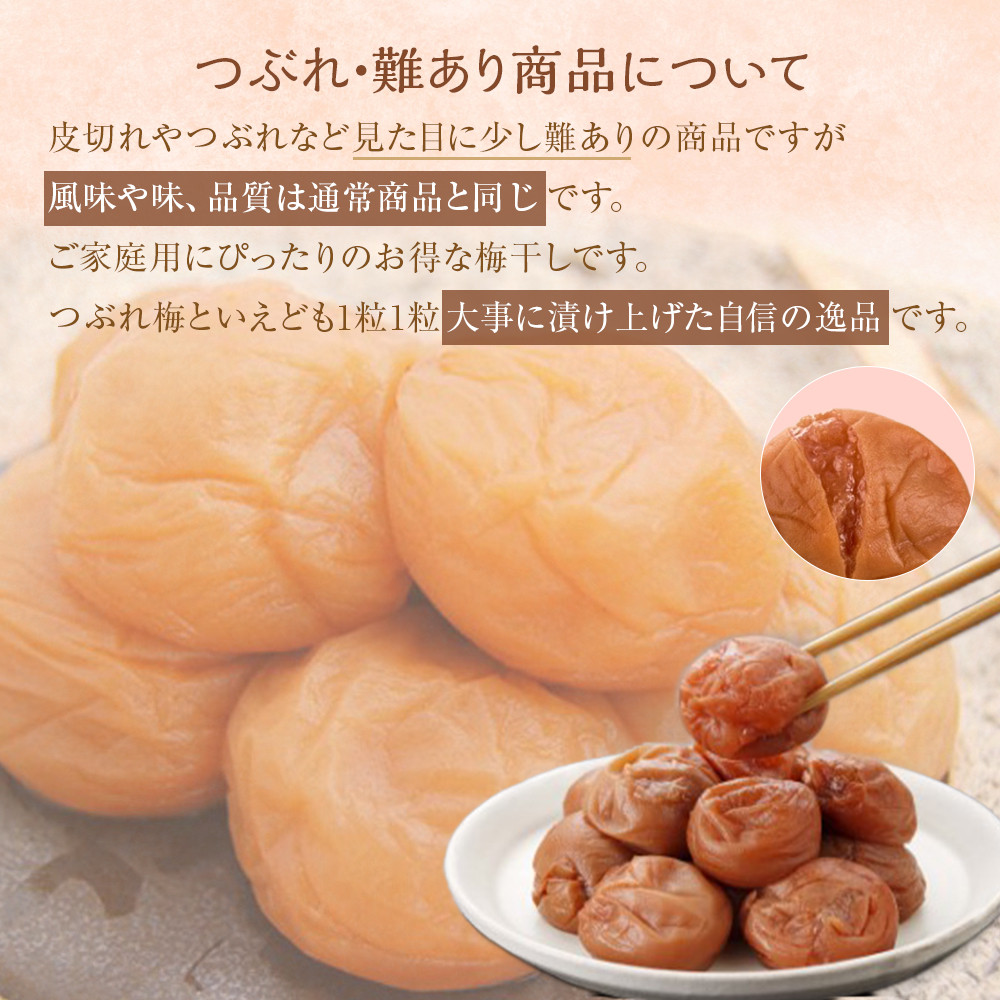 紀州南高梅　蜂蜜つぶれ梅　塩分5％　1kg（500g×２)【Kn22】　CQ022_イメージ4