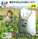 【ふるさと納税】【 令和6年産 新米 】 玄米 10kg 夢しずく 農薬・化学肥料不使用「 しょうちゃんの 棚田米 」 10kg モチモチ食感と優しい甘み 特A 受賞 化学肥料不使用 オーガニック 棚田 米 コメ お米 おこめ 10キロ 10 c-43