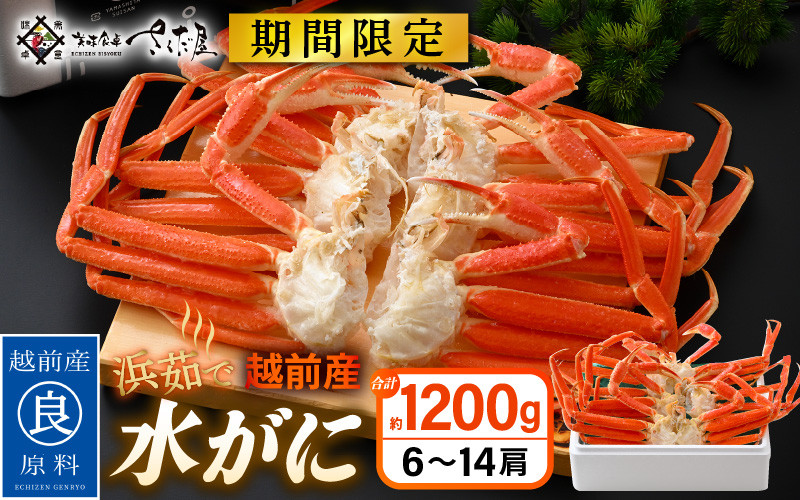 
【期間限定】浜茹で 越前産 水がに 1200g（6～14肩） 脱皮したてのずわいがに【福井県 越前町 かに カニ 蟹 ずわいがに ズワイガニ 雄 ズボガニ 水ガニ かに足 冷蔵 越前ガニ 越前かに 越前カニ】【2025年2月20日以降 順次発送予定】 [e04-x027]
