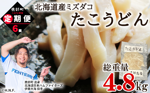 【定期便】たこうどん800g（200g×4）6回お届けコース【毎月】