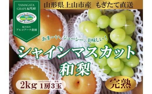 【直送便】完熟シャインマスカットと和梨セット（小）　0148-2509