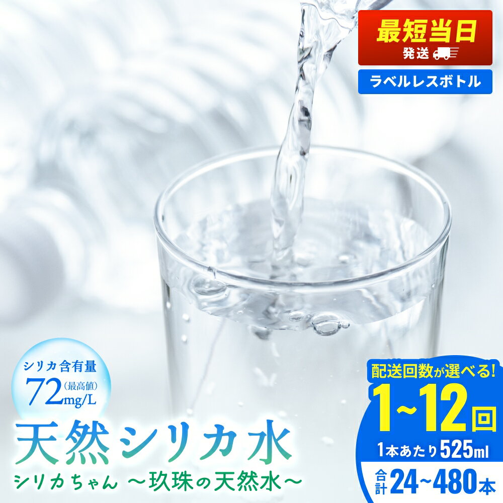 【ふるさと納税】【最短当日発送】 天然水 シリカ 525ml × 24-480本 ＜シリカちゃん〜玖珠の天然水〜＞ 定期便 水 ペットボトル ラベルレス お水 水まとめ買い 3ヶ月 6ヶ月 12ヶ月 大分県 玖珠町 天然シリカ シリカ水 定期購入 ミネラルウォーター 国産 保存可能 備蓄
