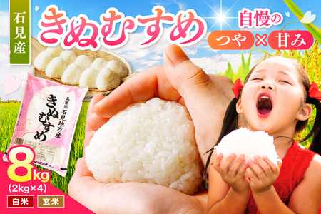 【令和7年産】石見産「きぬむすめ」（2kg×4袋） 米 お米 きぬむすめ 精米 白米 玄米 ごはん お取り寄せ 特産 【058_1849】