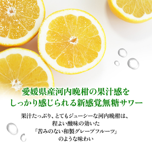 大人のCRAFT無糖サワー 河内晩柑 350ml×24本 父の日 チューハイ 柑橘 酒 アルコール 無糖  酎ハイ クラフトサワー 河内晩柑 愛南ゴールド アシード アスター 愛媛県 愛南町 Yショッ