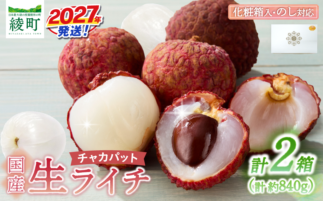 先行予約 数量限定 希少 国産 綾 生ライチ 2箱セット 1種類（化粧箱入り）果物 フルーツ くだもの 国産ライチ 2027年 トロピカルフルーツ 南国フルーツ 冷蔵 ジューシー 高級 デザート ギフ
