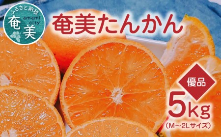 【 2025年 先行予約 】奄美タンカン 優品 5kg（ 2L ～ Mサイズ ）　A074-002 たんかん 果物 フルーツ 果実 甘い 濃厚 産地直送 先行受付 予約 受付 特産品 奄美大島産 期間限定 鹿児島 奄美 美味しい おいしい ジューシー 果汁 叶農園 ふるさと納税 奄美市 おすすめ ランキング プレゼント ギフト