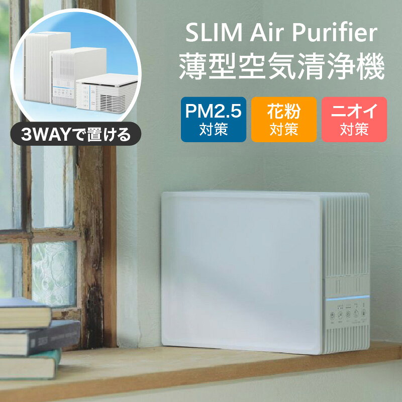 【ふるさと納税】薄型 空気清浄機 家電 日用品 清潔 におい 花粉 PM2.5 対策 スリム コンパクト プレゼント 贈答 送料無料東京都 品川区