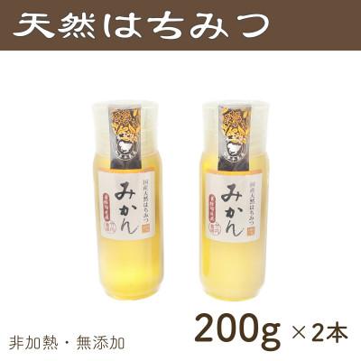 ふるさと納税 半田市 竹内養蜂の蜂蜜1種(みかん2本) 各200g プラスチック便利容器