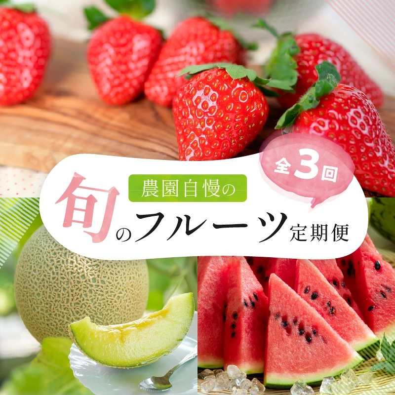 農園自慢の旬のフルーツ 定期便【配送不可地域：北海道・青森・秋田・岩手・沖縄・離島】【8054-3】